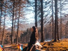 -硗碛藏寨·神木垒景区