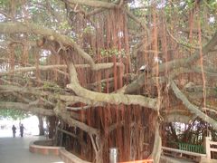-江门古兜温泉小镇