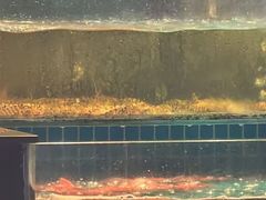 -新阿布海鲜大酒店