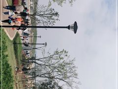 -九龙湖公园