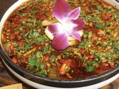 -大洋家·精品潮汕菜·生腌砂锅粥(天河东路店)