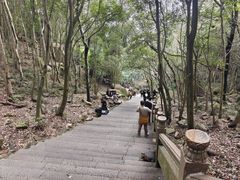 -普陀山风景区-佛顶山