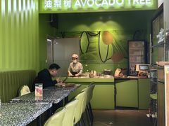 -油梨树AVOCADO TREE(顺义新国展店)