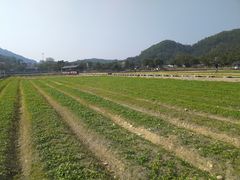 -红山村
