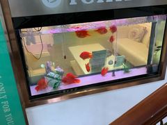 -爱齿尔口腔美学种植中心(永清院)