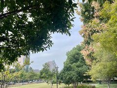 -浦阳面馆(萧山店)