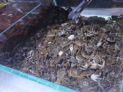 -聚盛源蒸汽海鲜火锅烤肉自助(巨川金海岸购物广场店)