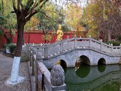 -南岳衡山风景名胜区-南岳大庙