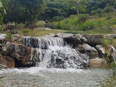 -东莞植物园