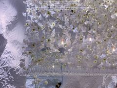 -麓椿花园西餐厅(海乐世界店)