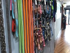 -瑞派动物医院·绝育·犬猫全科·预防医学(光景江南中店)