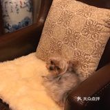 老大叫悠悠，老二叫躲躲。一个一个九岁，一个五岁了