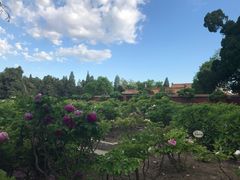 景点-景山公园