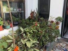 -北京龙庆四季香农家饭庄·灶台鱼·碳烤虹鳟鱼(龙庆峡店)