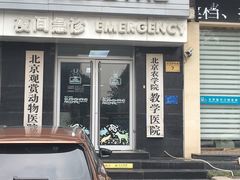-北京观赏动物医院·24小时大型综合·猫专科·异宠专科