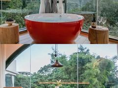 -广州市流溪河国家森林公园