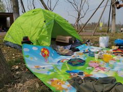 -白鹭湾湿地公园