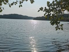-佛手湖郊野公园