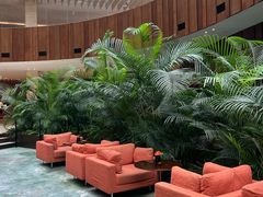 -北京望京凯悦酒店The Lounge大堂酒廊