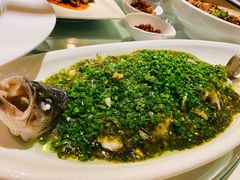 烧椒鲈鱼-尘香•传统川菜(创汇首座店)