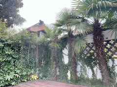 -深业半汤御泉庄温泉