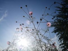 -西山悦咖啡