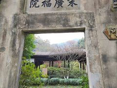 -十八棵（老龙井）御茶园(老龙井店)