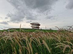 -光明小镇欢乐田园
