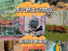 -青藏高原野生动物园