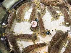 -强记海鲜·大排档(蛇口新街店)