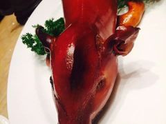 乳猪焗饭-8餐厅(新葡京酒店)