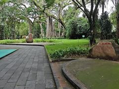 -独树成林
