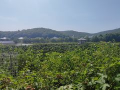 -大连北马山庄