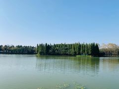 -艾溪湖湿地公园