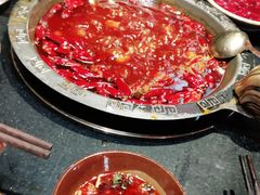 -渝大狮毛肚老火锅(普陀店)