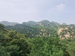 -大岭沟猕猴桃谷风景区