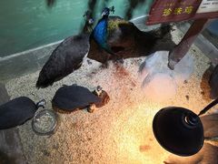 -梦幻海洋王国(吾悦广场张家港店)