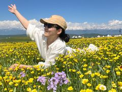 -新疆那拉提国家旅游度假区