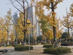 -百林公园-两江幸福广场
