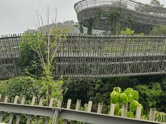 -福道
