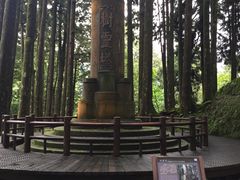 -阿里山神木遗迹