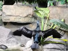 -重庆欢乐海底世界
