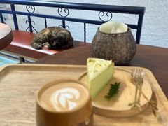 -Sirena海妖日咖夜酒