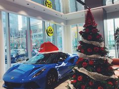 -莲花跑车(国贸商城店)