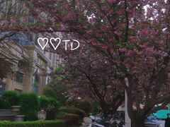 -木塔寺遗址生态公园