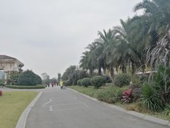 -府河摄影公园