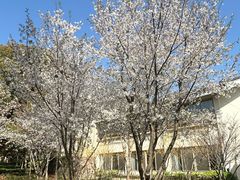 -上海市保健医疗中心