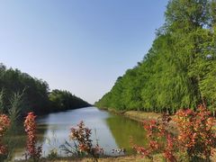 -上海海湾国家森林公园