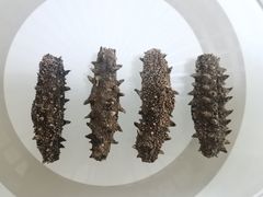 -宫品海参专卖店(静安大宁店)