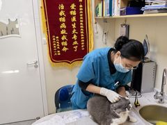 -德元·美联众合24小时动物医院(总院)